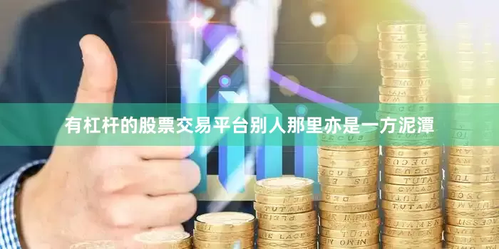 有杠杆的股票交易平台别人那里亦是一方泥潭