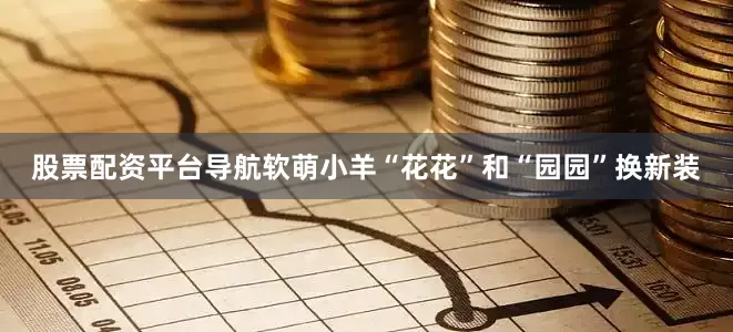 股票配资平台导航软萌小羊“花花”和“园园”换新装