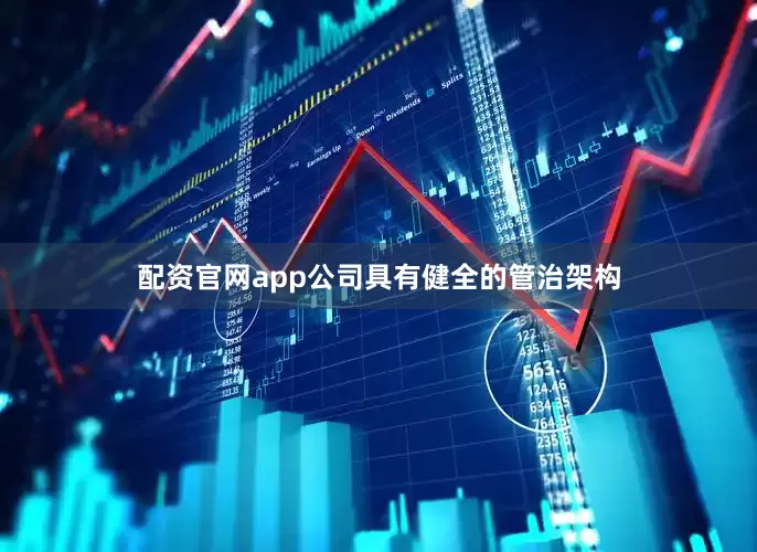 配资官网app公司具有健全的管治架构
