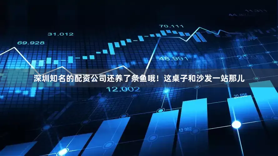 深圳知名的配资公司还养了条鱼哦！这桌子和沙发一站那儿