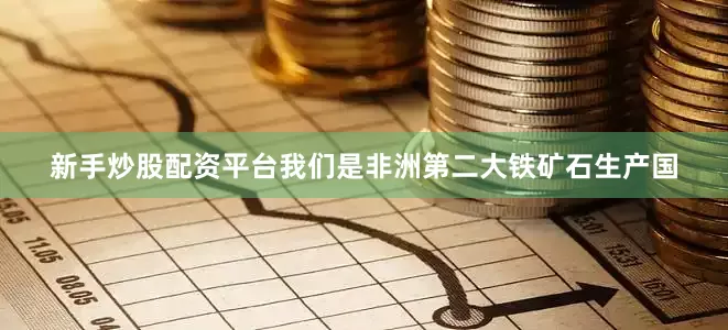 新手炒股配资平台我们是非洲第二大铁矿石生产国