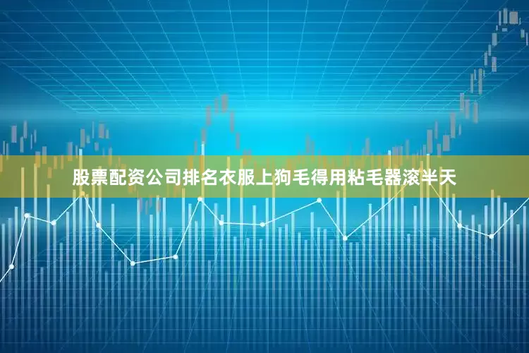 股票配资公司排名衣服上狗毛得用粘毛器滚半天