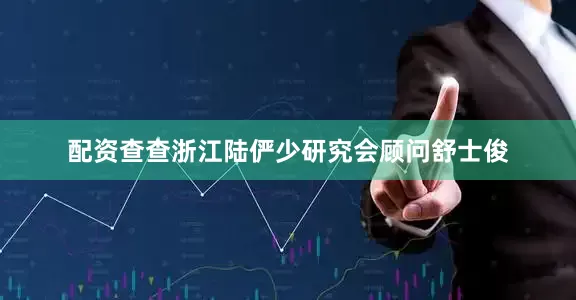 配资查查浙江陆俨少研究会顾问舒士俊